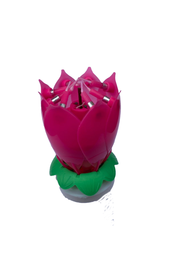 Vela flor de loto